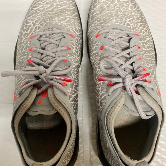 Nike Jordan Trainer 1 Low, Wolf Grey/Infrared 23 - Size 13 main image 6